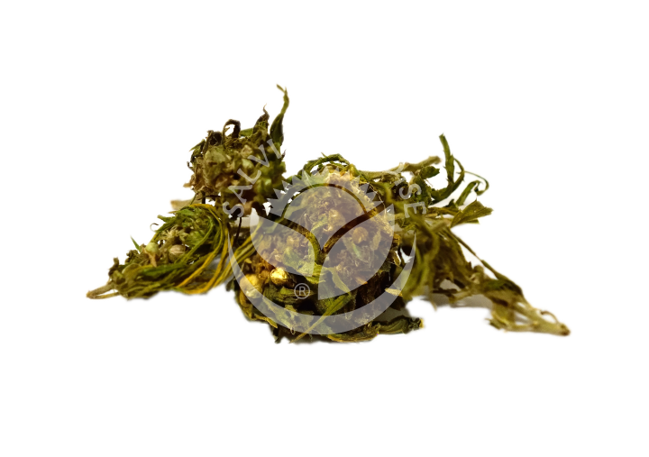 Hemp CBD tincture 50 ml