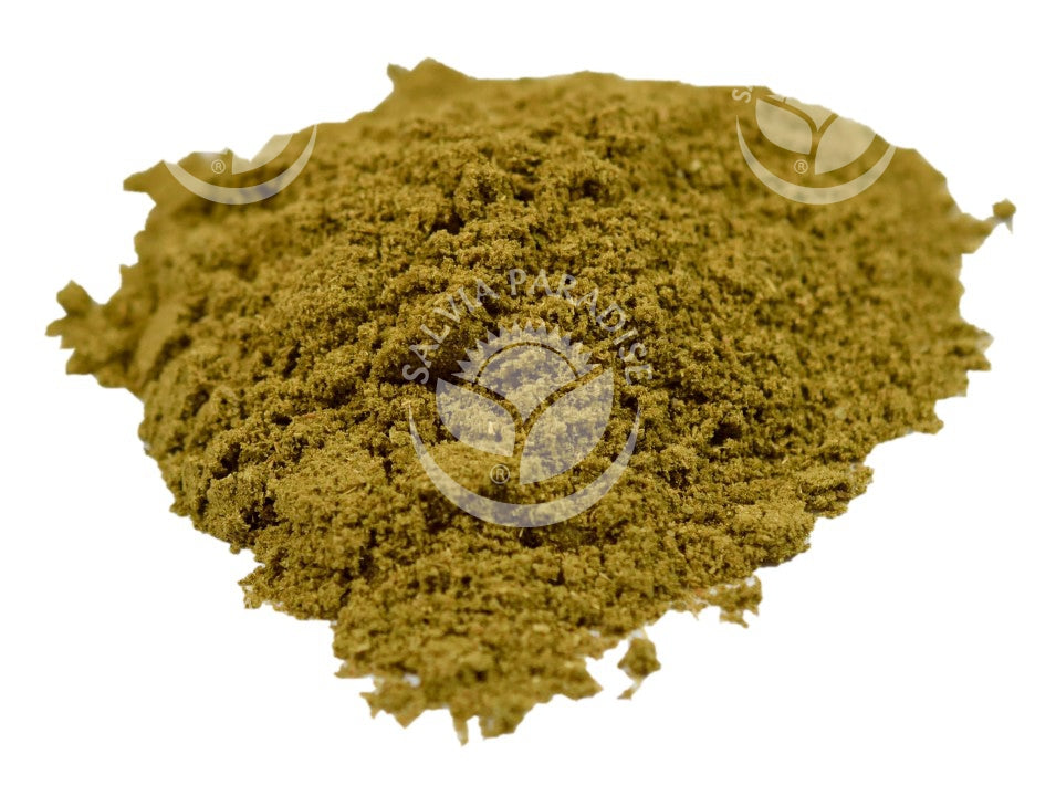 Ginko Biloba AF tinktúra 50 ml